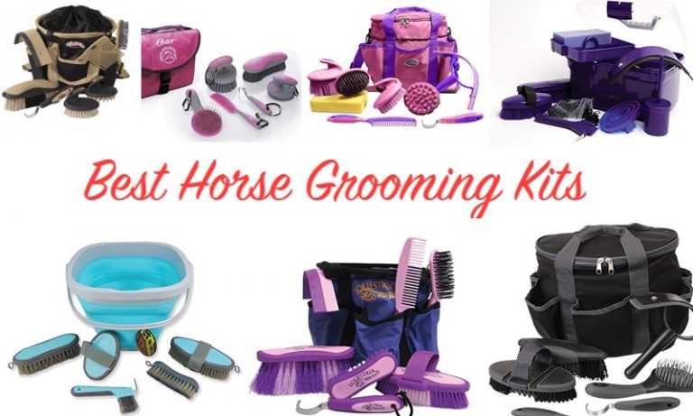 Horse Grooming Kits